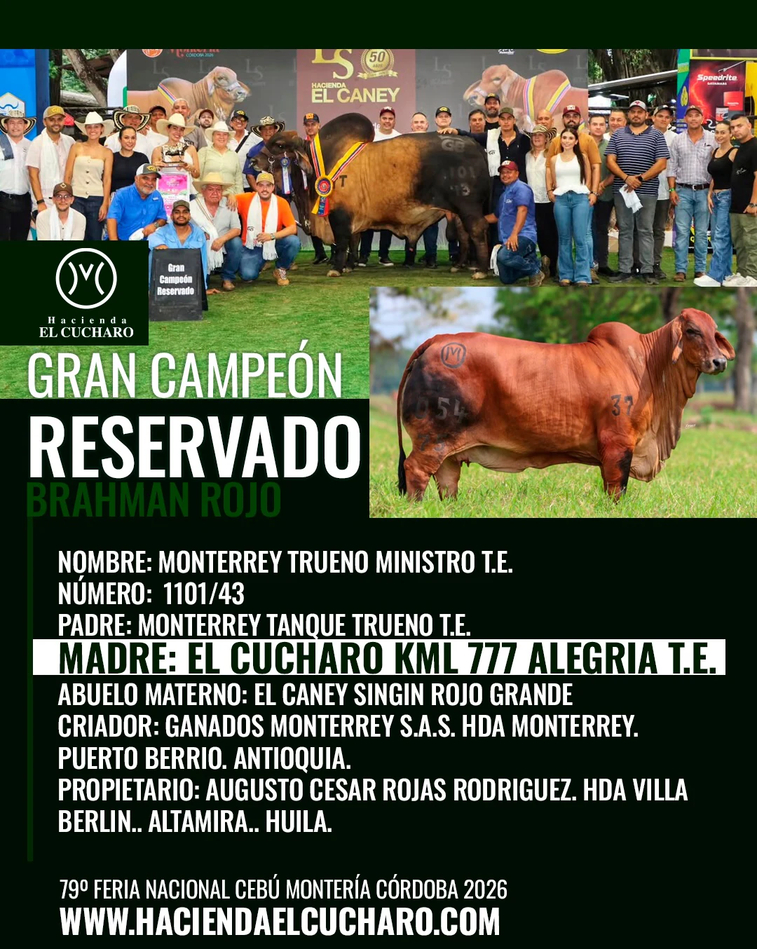 Gran Campeón Reservado Brahman Rojo: Monterrey Trueno Ministro T.E. 1101/43, hijo de El Cucharo KML 777 Alegría T.E., en la 79.ª Feria Nacional Cebú Montería 2026