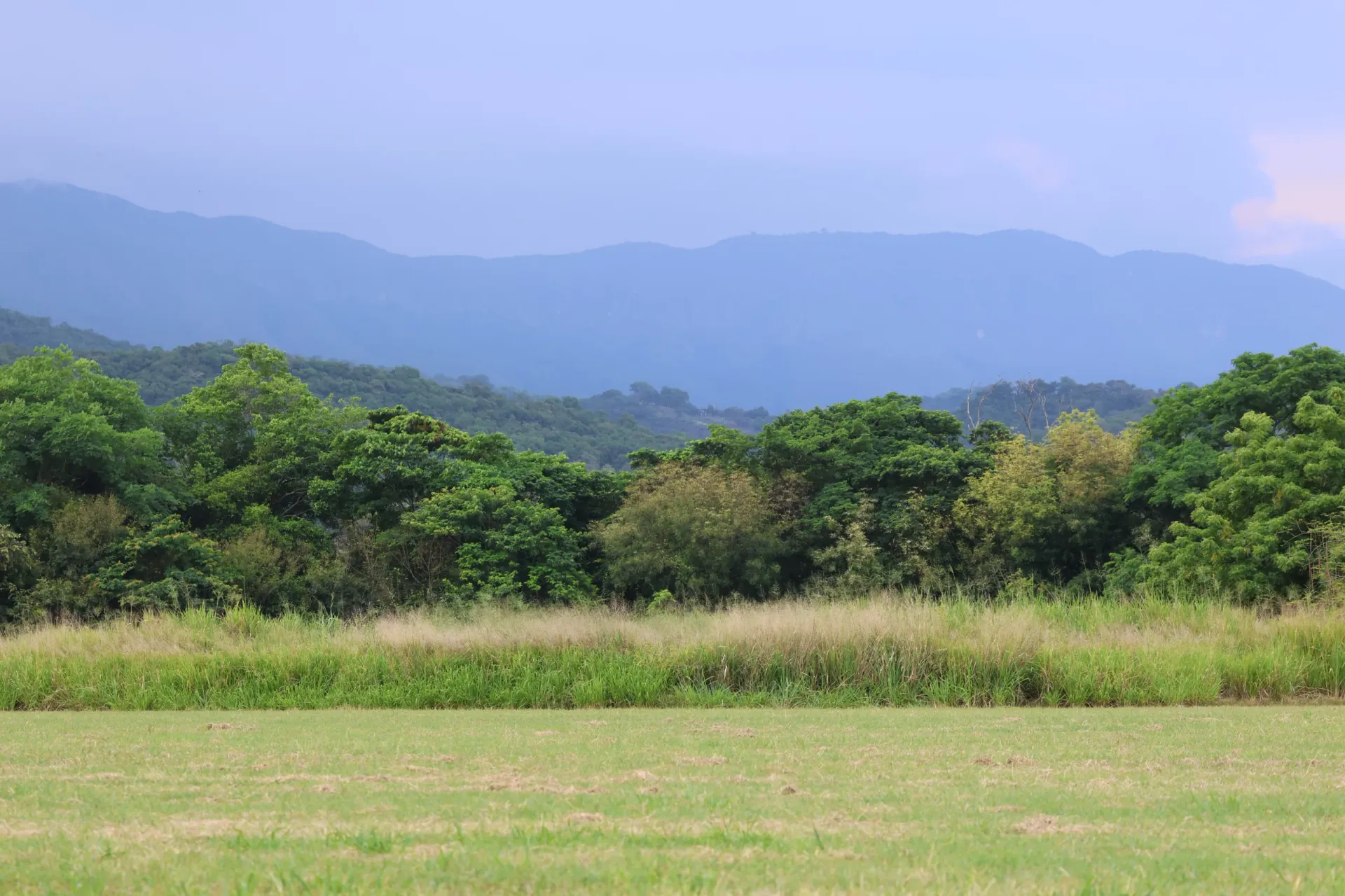Potrero de Hacienda El Cucharo